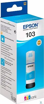 картинка Картридж Epson C13T00S24A