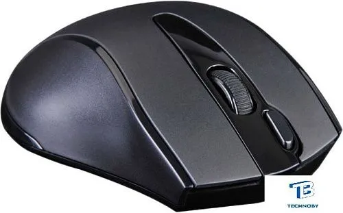 картинка Мышь A4Tech G9-500FS