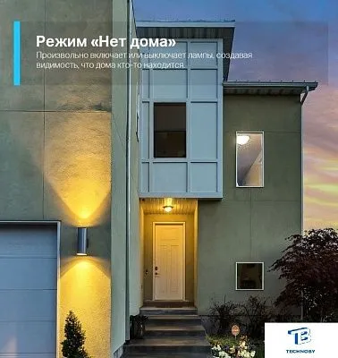 картинка Умная розетка TP-Link Tapo P100