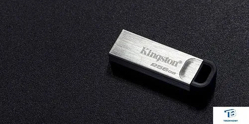 картинка Флэш накопитель Kingston DTKN/256GB