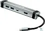 картинка USB хаб Canyon CNS-TDS03DG - превью 1