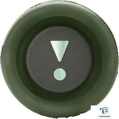 картинка Портативная колонка JBL Flip 6 Камуфляж