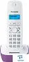 картинка Радиотелефон Panasonic KX-TG1611RUF - превью 1