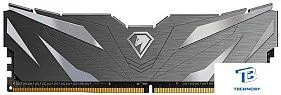картинка ОЗУ Netac NTSWD4P26SP-16K