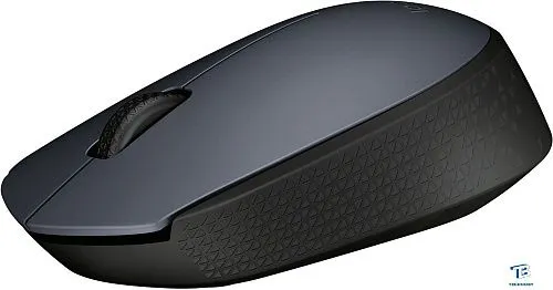 картинка Мышь Logitech M170 910-004646