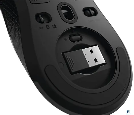 картинка Мышь Lenovo GY50X79385