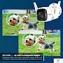 картинка IP-камера TP-Link Tapo C320WS - превью 3