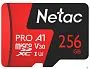 картинка Карта памяти Netac 256GB NT02P500PRO-256G-R - превью 1