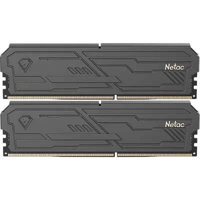 картинка ОЗУ Netac NTSHD4P32DP-16K