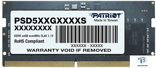 картинка ОЗУ Patriot PSD532G48002S