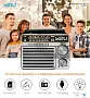 картинка Радиоприемник MIRU SR-1020 - превью 3
