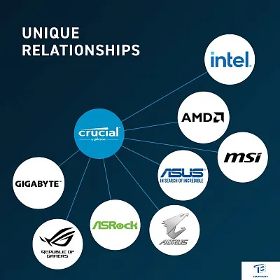 картинка ОЗУ Crucial CT16G56C46U5