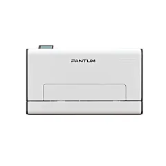 картинка Принтер Pantum CP2100DN