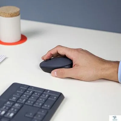 картинка Мышь Logitech M170 910-004646