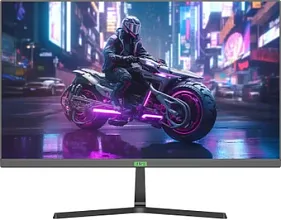 картинка Монитор Elsa EA241S PRO