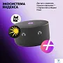 картинка Умная колонка Яндекс Станция Мини 3 черный YNDX-00027BLK - превью 13