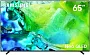 картинка Телевизор Samsung QE65QN80HAUXPY - превью 1