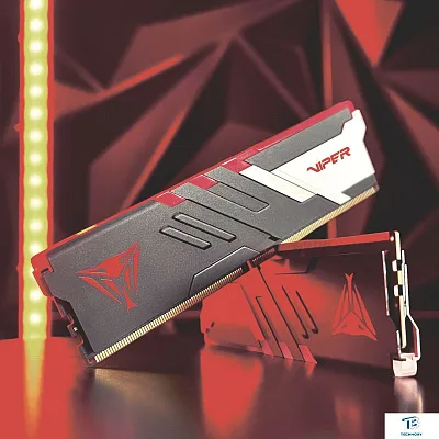 картинка ОЗУ Patriot PVVR532G560C36K