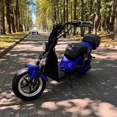 картинка Электроскутер Smart Balance Sport (синий)