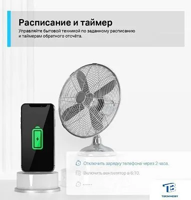 картинка Умная розетка TP-Link Tapo P100