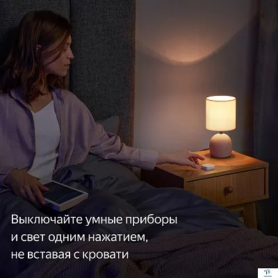 картинка Пульт Яндекс YNDX-00524