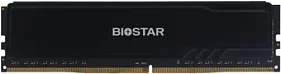 картинка ОЗУ Biostar DO32NU4H08