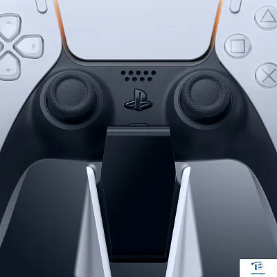 картинка Зарядное устройство Sony CFI-ZDS1