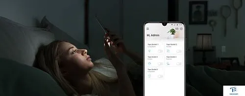 картинка Умная розетка TP-Link Tapo P100
