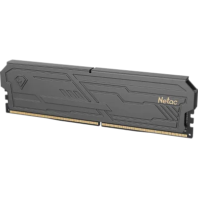 картинка ОЗУ Netac NTSHD4P32DP-16K
