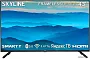 картинка Телевизор Skyline 43LST6575 - превью 1
