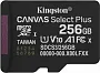 картинка Карта памяти Kingston SDCS3/256GB - превью 1