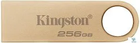 картинка Флэш накопитель Kingston DTSE9G3/256GB