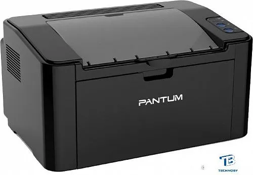 картинка Принтер лазерный Pantum P2207, черно-белый