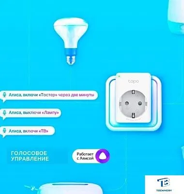 картинка Умная розетка TP-Link Tapo P100