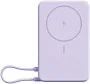 картинка Xiaomi Mi Power Bank BHR08PAGL - превью 1