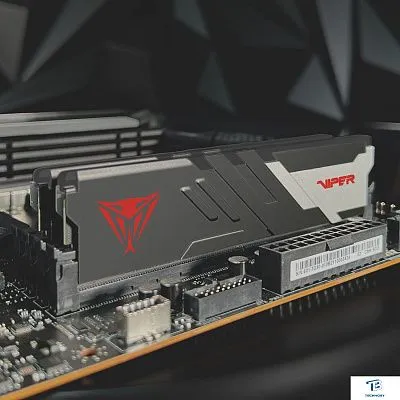 картинка ОЗУ Patriot PVV516G560C40K