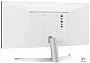 картинка Монитор LG 29WQ600-W - превью 2