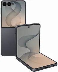 картинка Смартфон Samsung Z Flip8 12GB/256GB Graphite SM-F776BZKGCAU