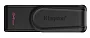 картинка Флэш накопитель Kingston DTXS/64GB - превью 1