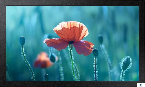 картинка Дисплей Samsung QB13R