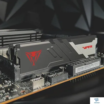 картинка ОЗУ Patriot PVV532G600C30K