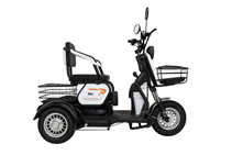 картинка Электротрицикл Terax ARKI NS003 Черный