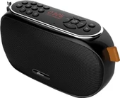 картинка Радиоприемник Ritmix RPR-008