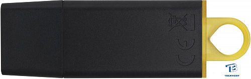 картинка Флэш накопитель Kingston DTX/128GB