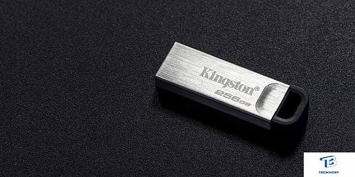 картинка Флэш накопитель Kingston DTKN/256GB