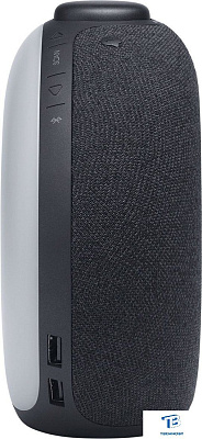 картинка Портативная колонка JBL Horizon 2 Черный