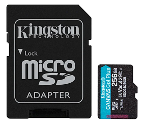 картинка Карта памяти Kingston SDCG4/256GB