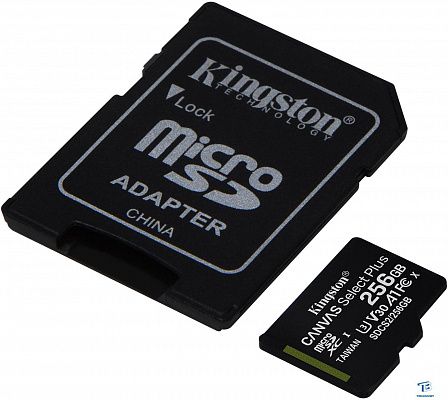 картинка Карта памяти Kingston SDCS2/256GB