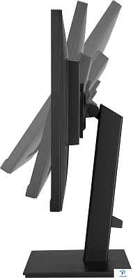 картинка Монитор Asus VA24DQSB