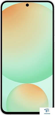 картинка Смартфон Samsung Galaxy S24FE 256GB Mint SM-S721BLGCCAU